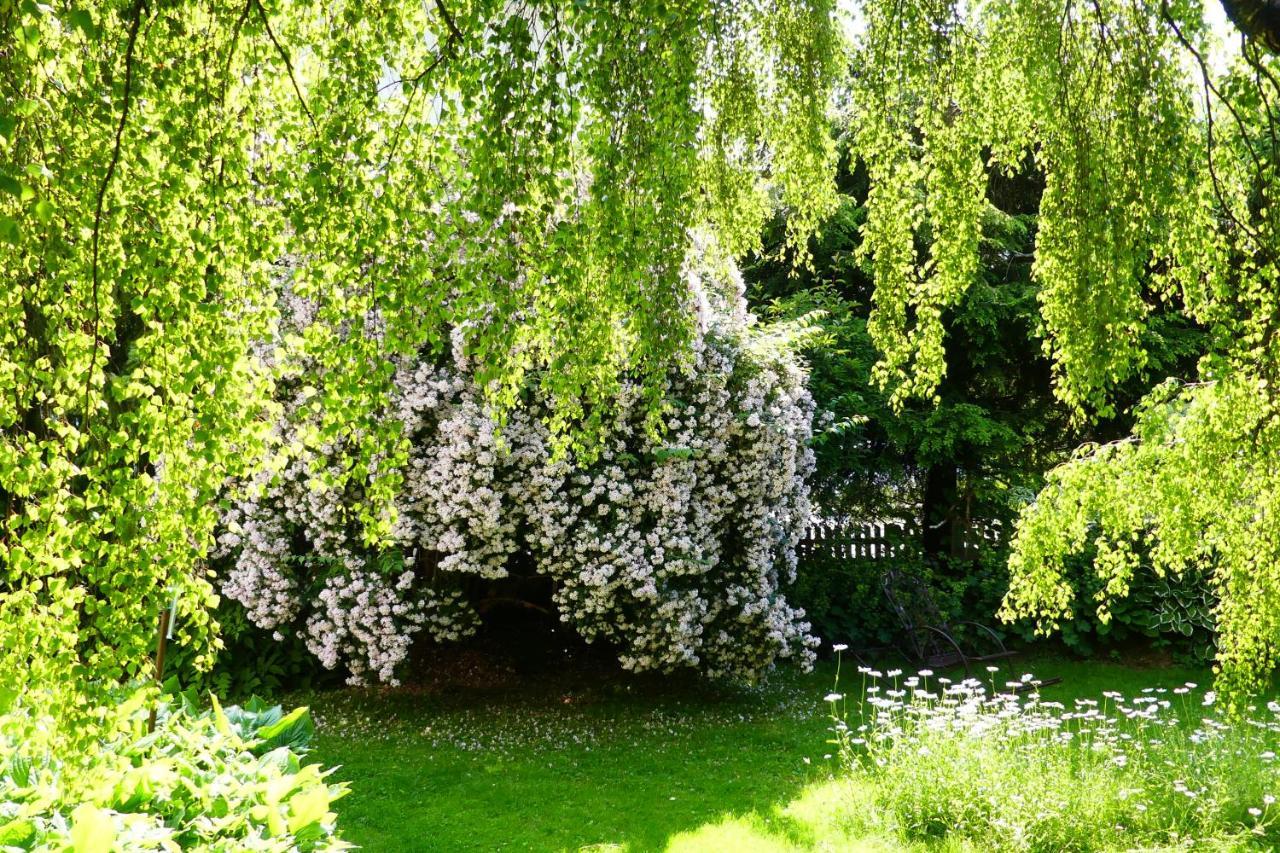 Ferienwohnungen Familie Wetzlinger Бад Кляйнкирххайм Экстерьер фото